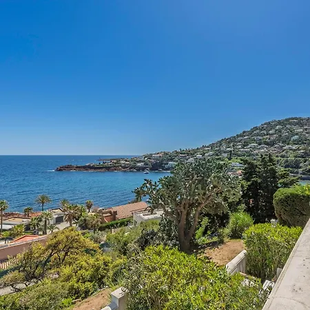 Tresor D Antheor- Bord De Saint-Raphaël