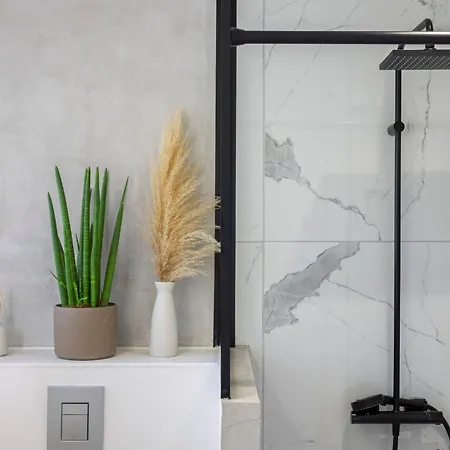 Tresor D Antheor- Bord De * Saint-Raphaël